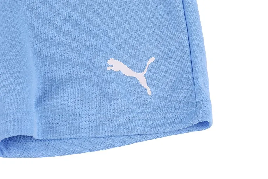PUMA Shorts Herren Hose teamRISE Short 704942 18