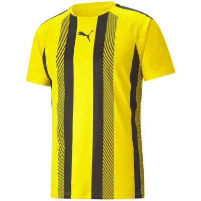 Puma TeamLIGA Striped Herren T-Shirt kaufen